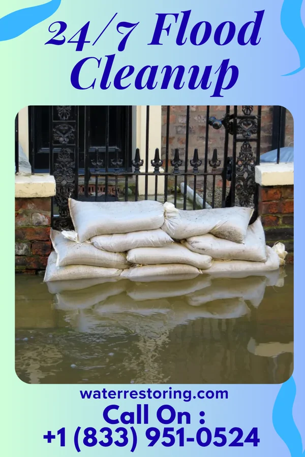 24/7 Flood Cleanup in Coward, SC