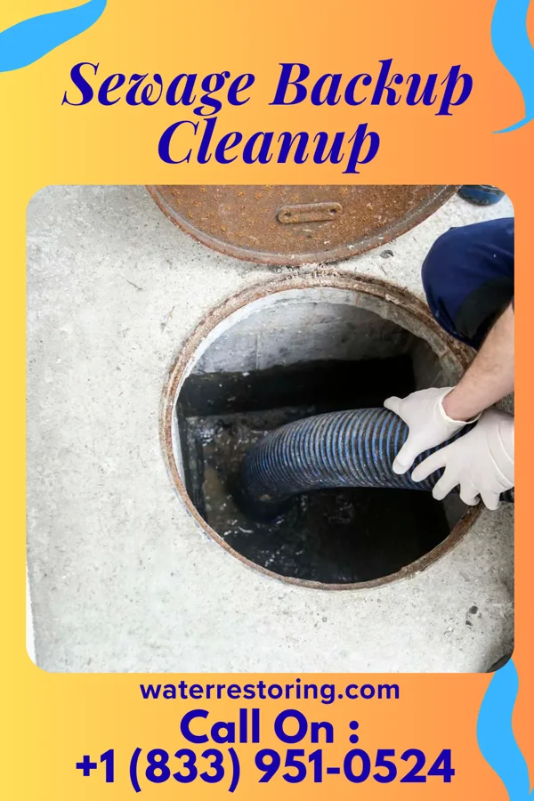 Sewage Backup Cleanup in Coward, SC