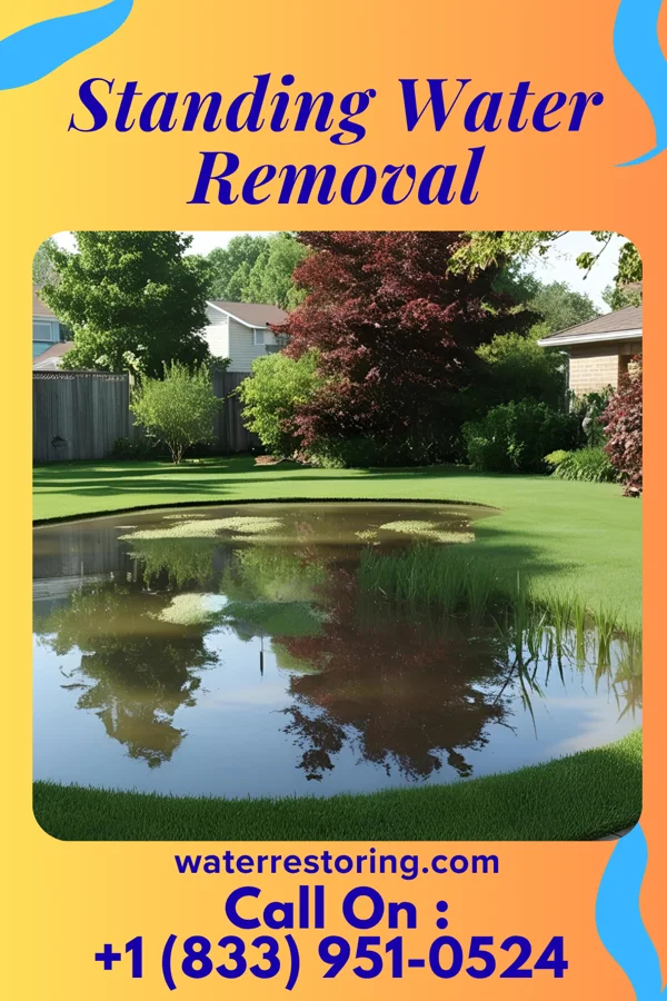 Standing Water Removal in Coward, SC